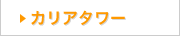�q���g���E�n���C�A���E�r���b�W�@�J���A�^���[