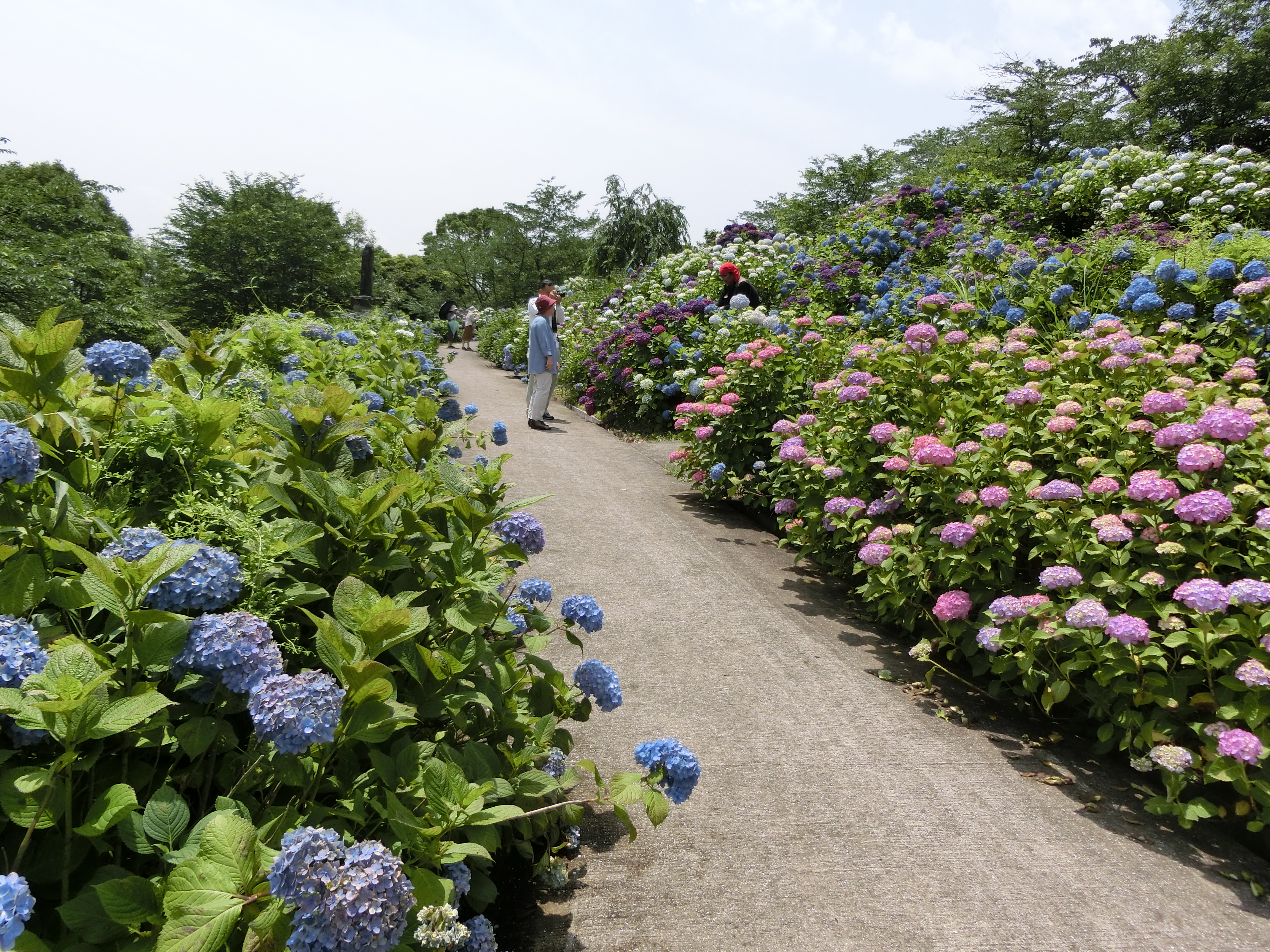 響山公園